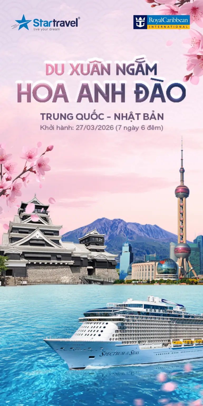 DU XUÂN NGẮM HOA ANH ĐÀO